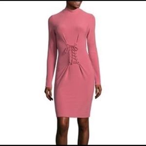 Project Runway Corset Dress in Slate Rose